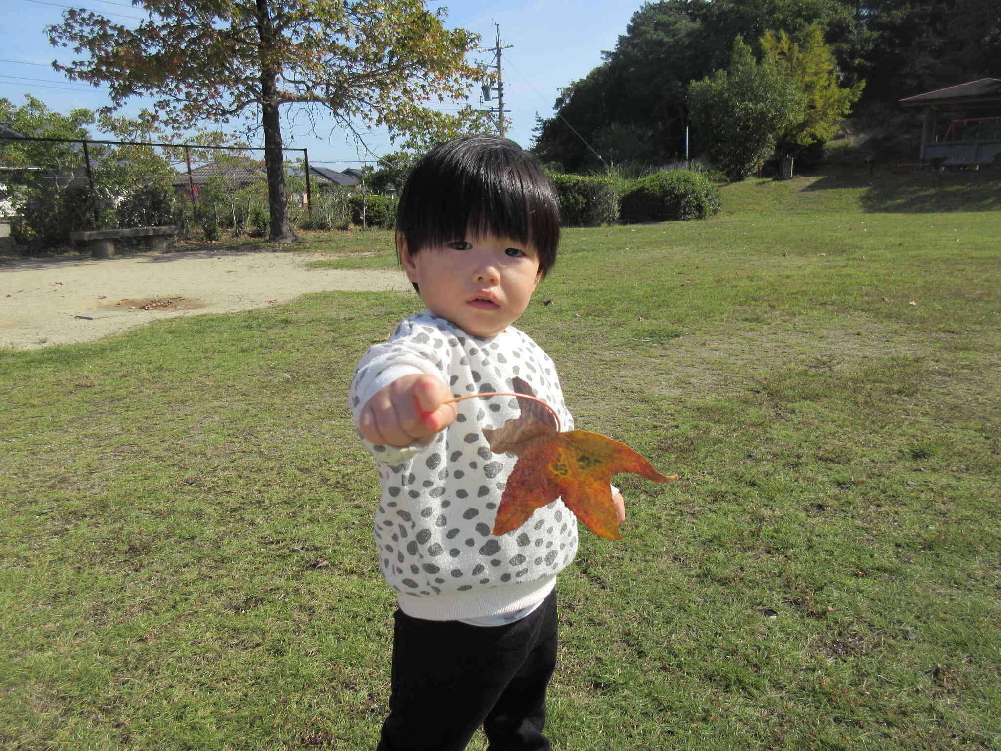 おっきいのみーつけた！