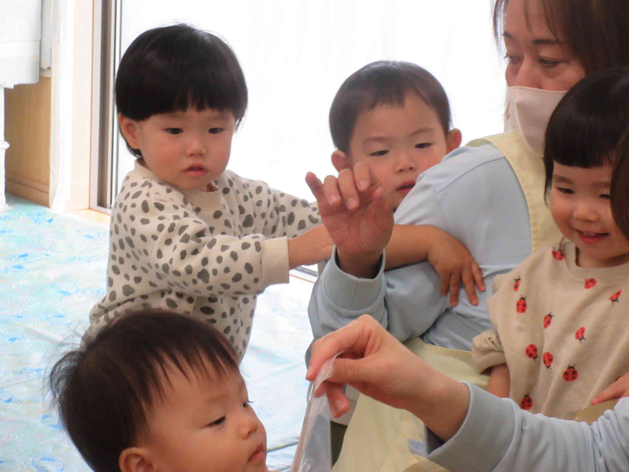 ひよこぐみさんも触ったよ！