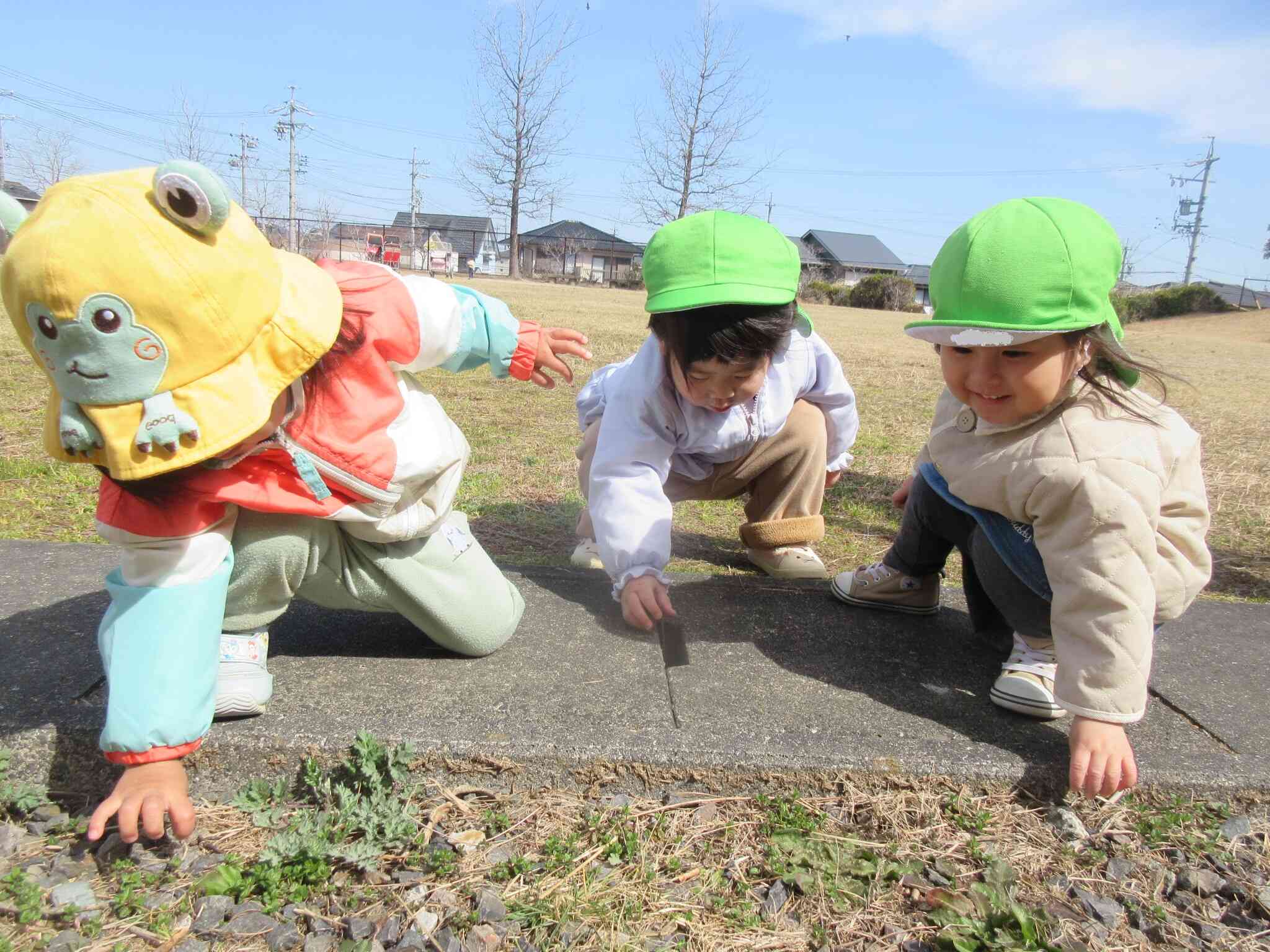 「あったー！」公園にはいいものがいっぱい！