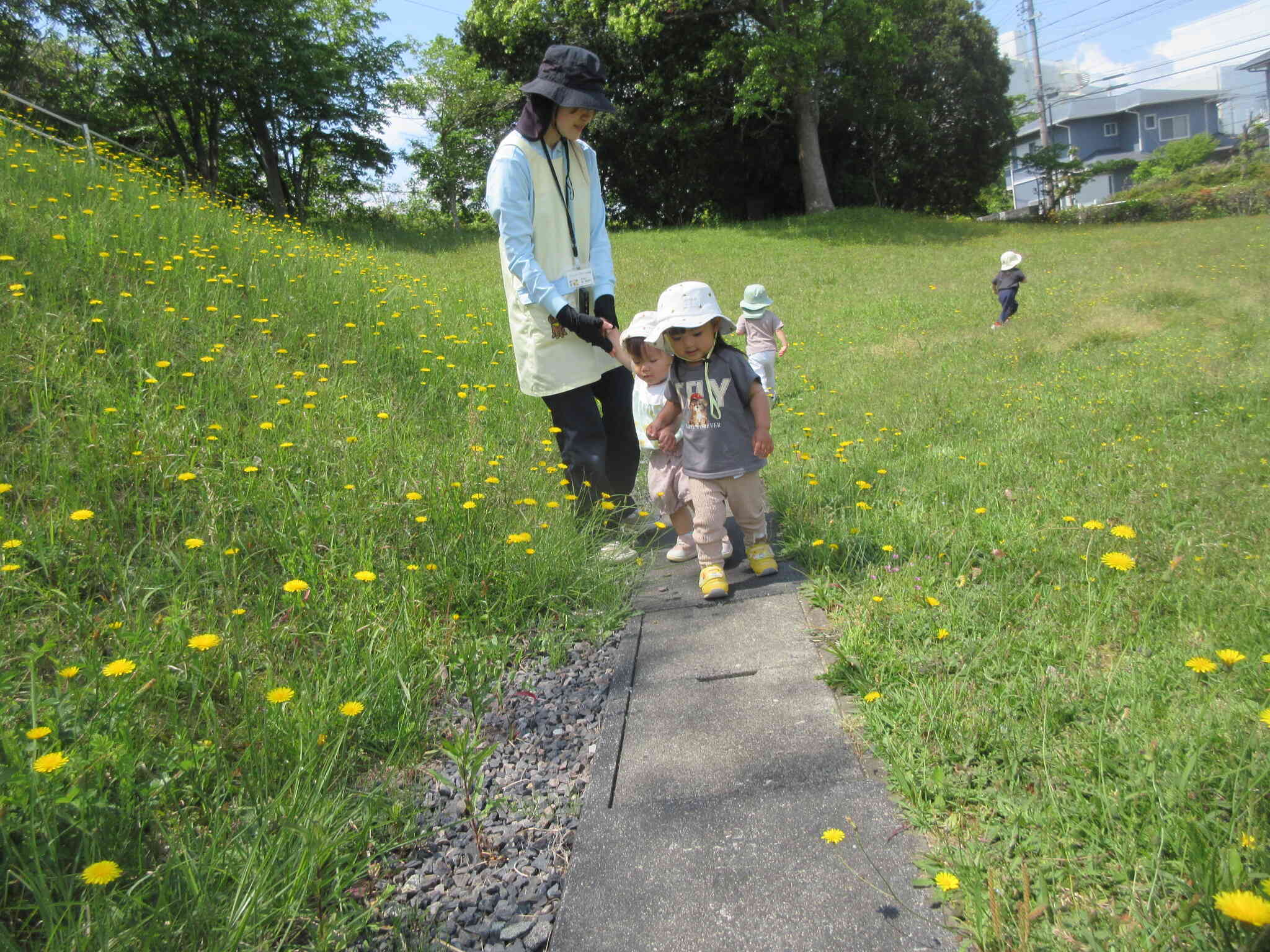 お花がさいてるね
