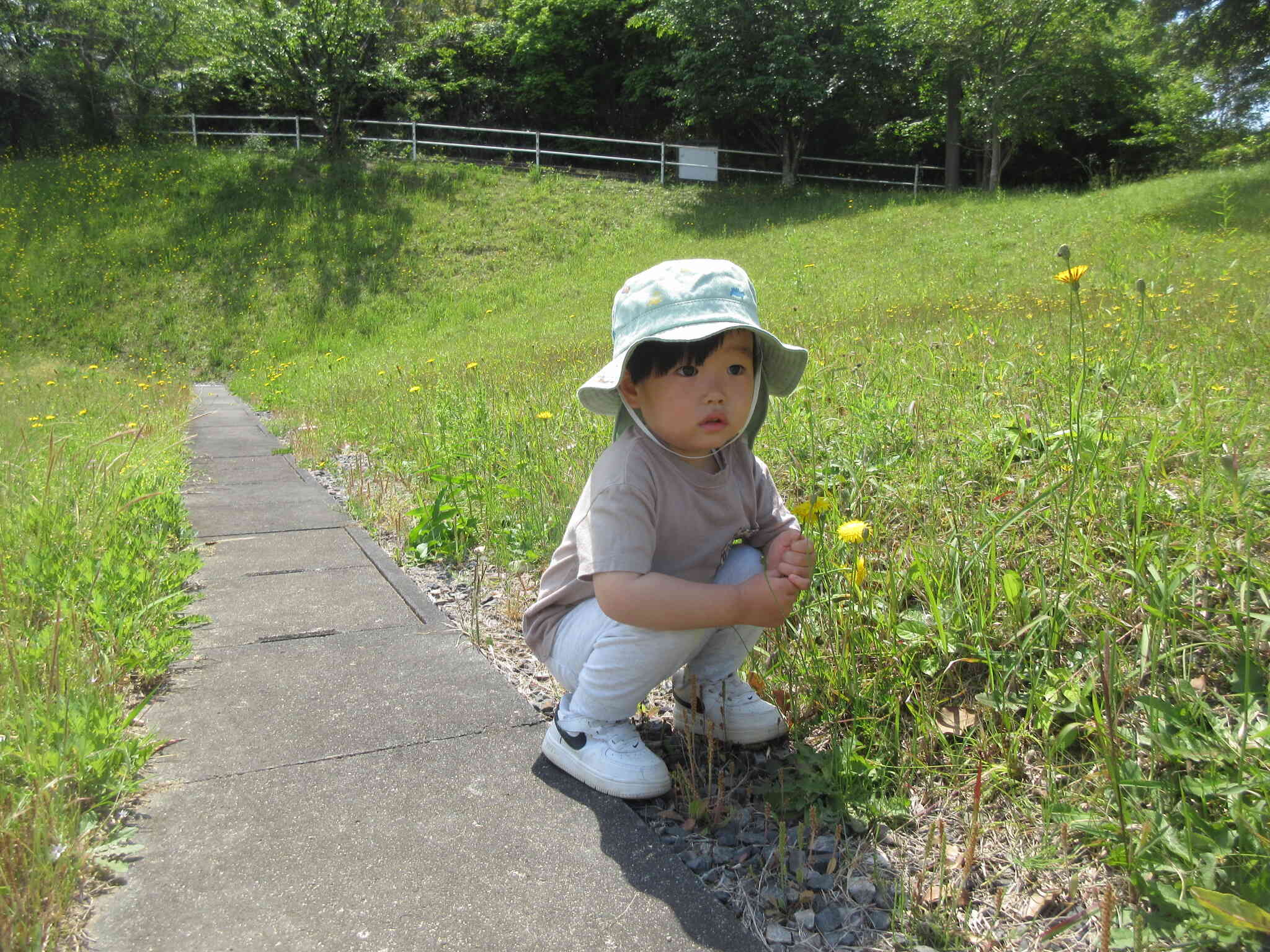 おさんぽにいってきたよ