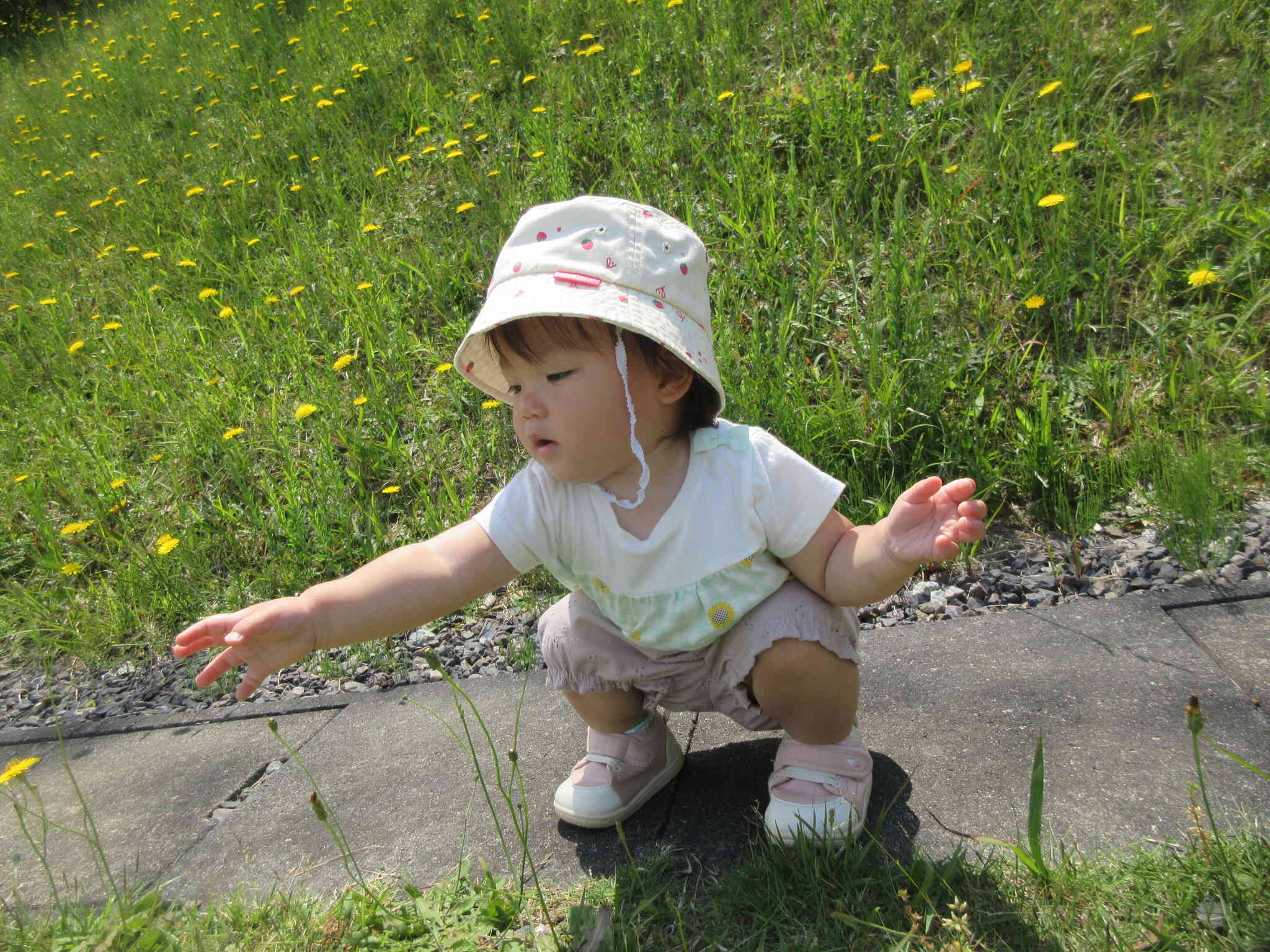 お花みつけた～