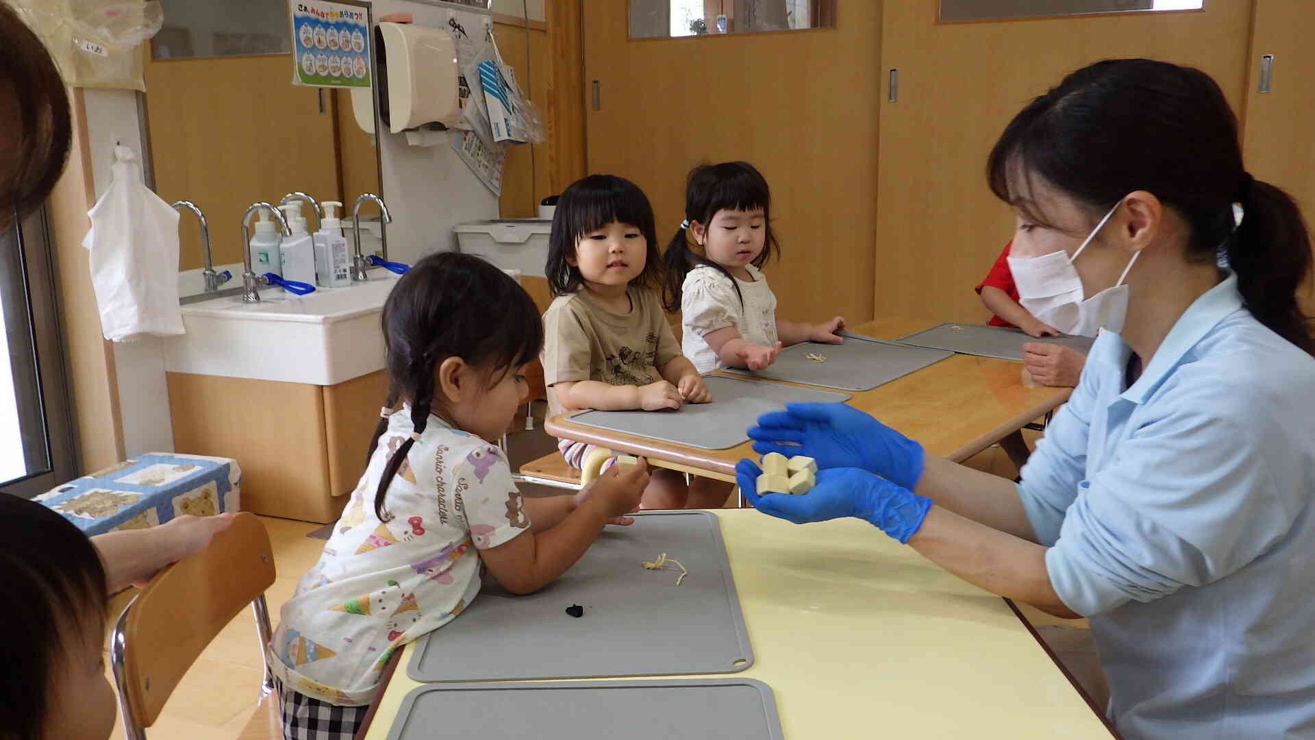 食育活動　「ふえるわかめ」