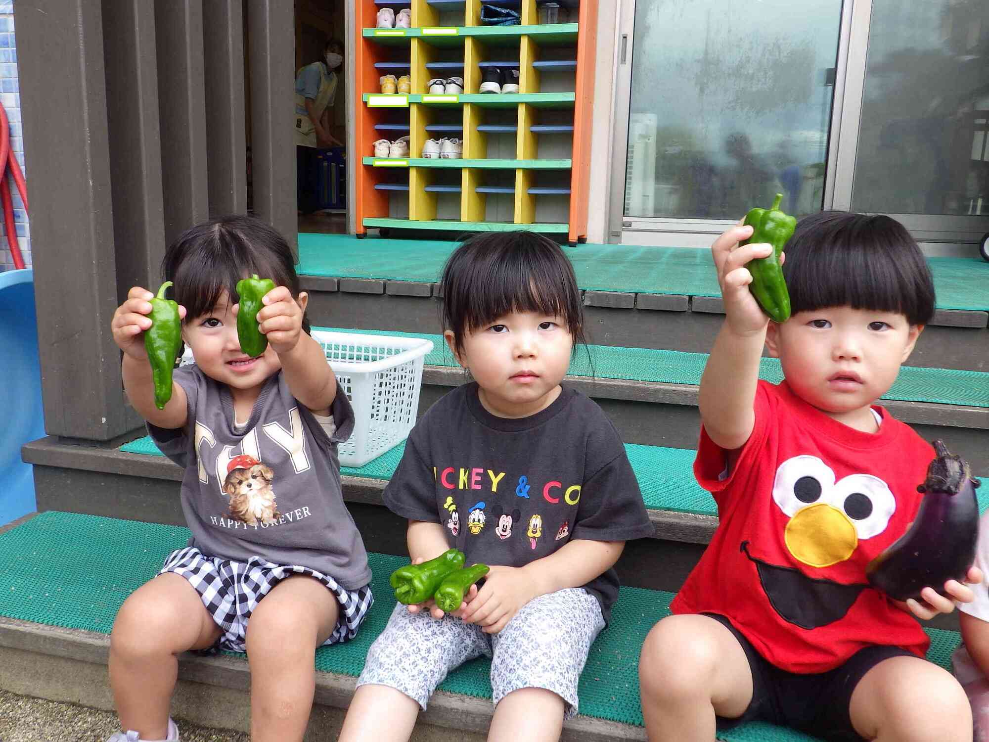 夏野菜初収穫！
