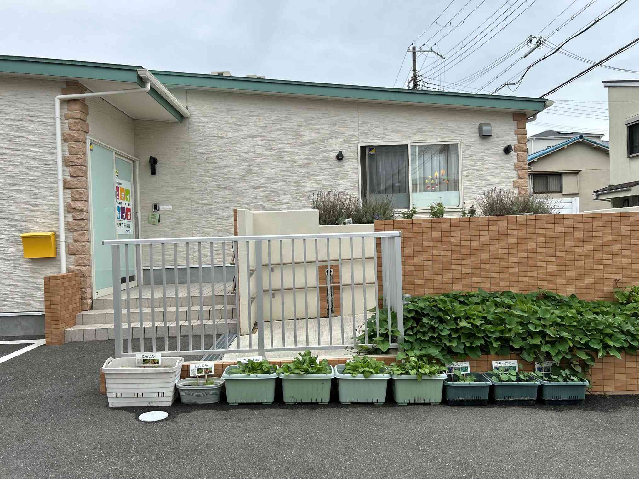 花壇やプランターでは、子どもたちと一緒に植物や野菜を育てています♪