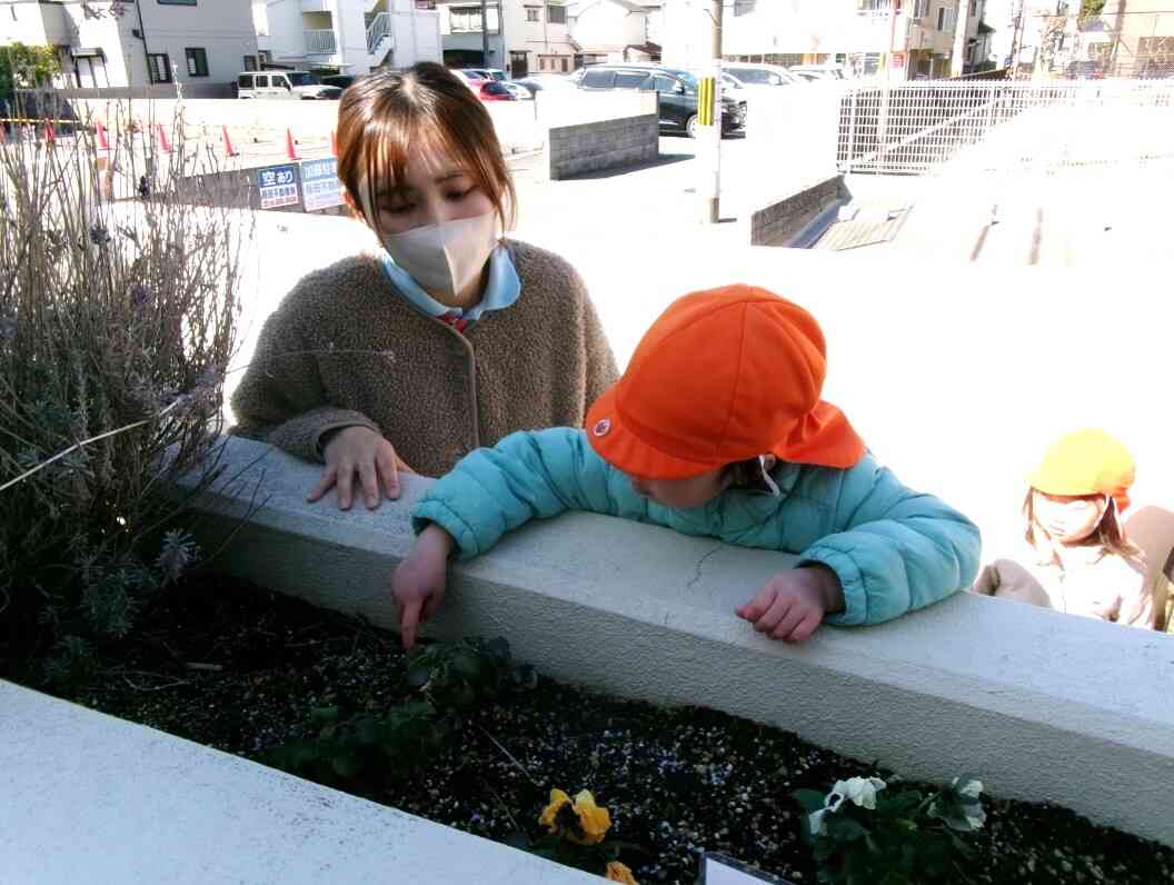 霜が少し残っていたので、観察しました(*^^*)