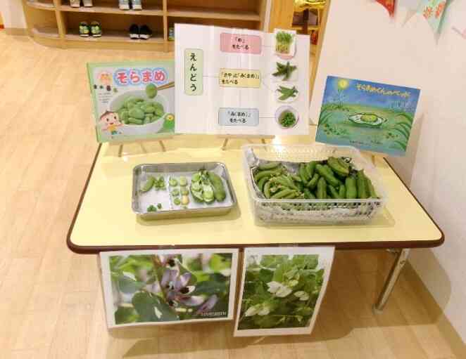 お家でもたくさん、豆料理を食べてね！！