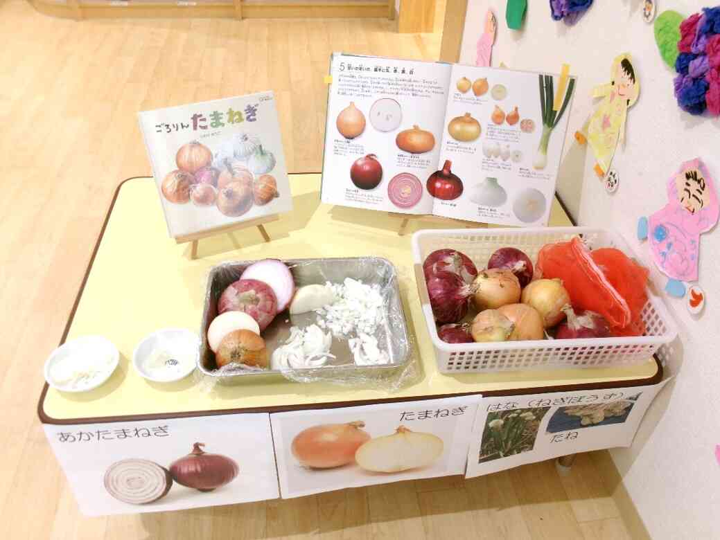 身近なお野菜、玉ねぎ☆彡これからもたくさん食べてね(*^-^*)