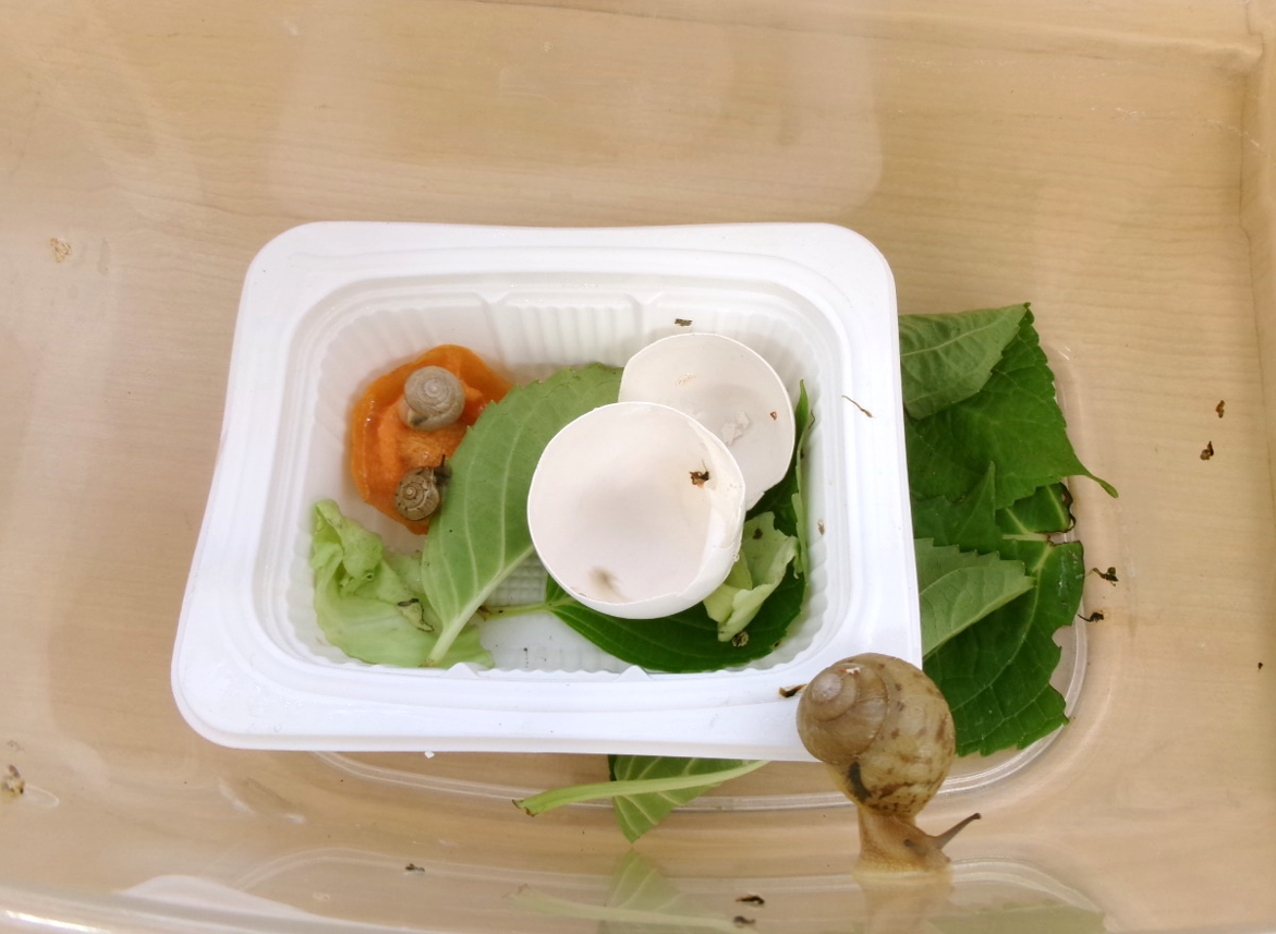 ごはんも食べてね～☆彡