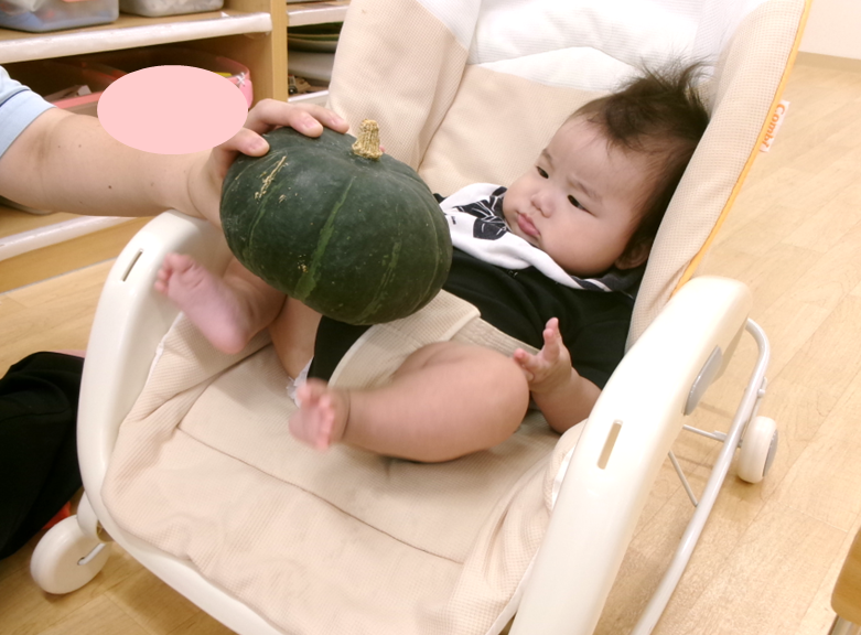 ずっしり重い、大きなかぼちゃ！！！