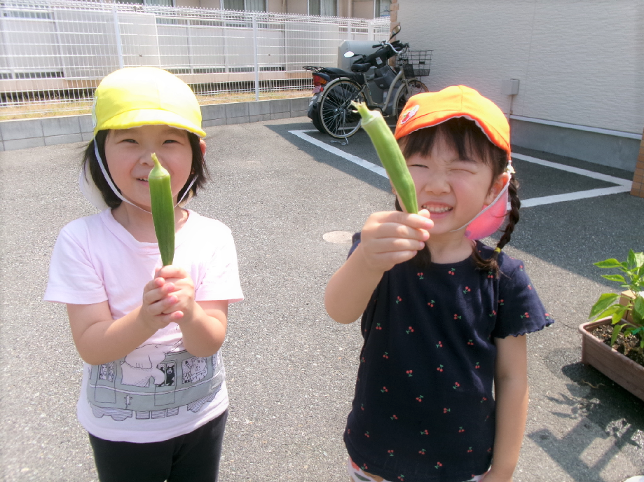 ふわふわオクラ♪