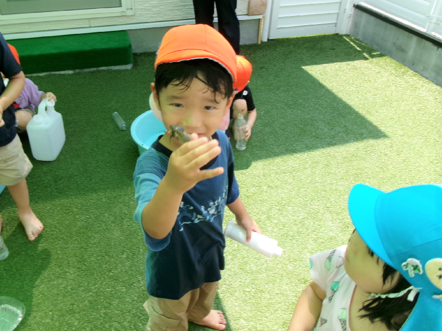 セミが来たよ！！