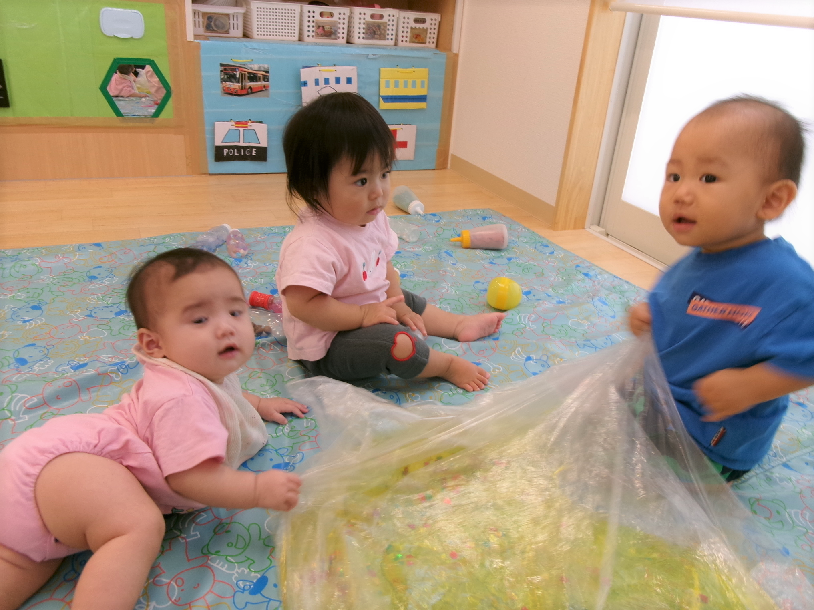 今日のひよこ組さん♪