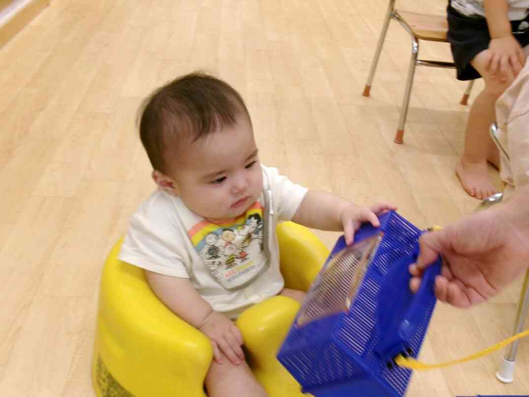 ひよこ組さんも、興味津々！！