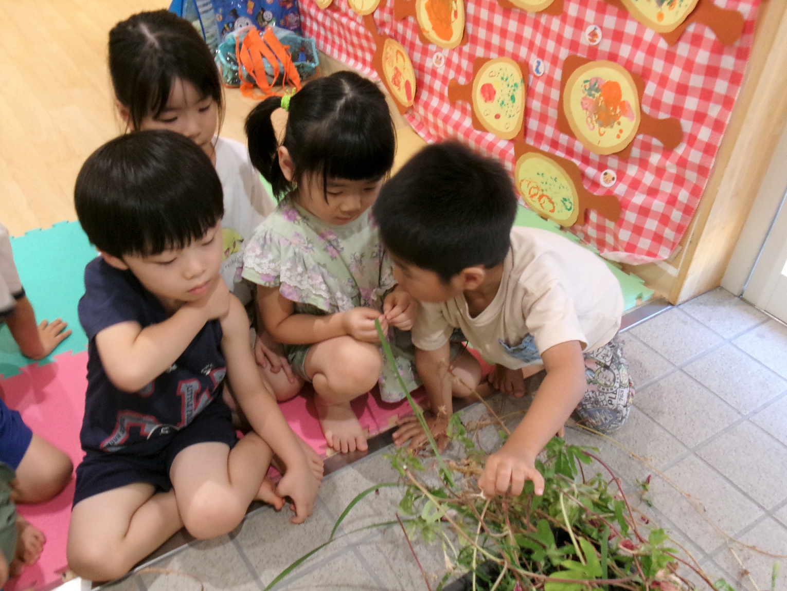 今日から9月☆彡