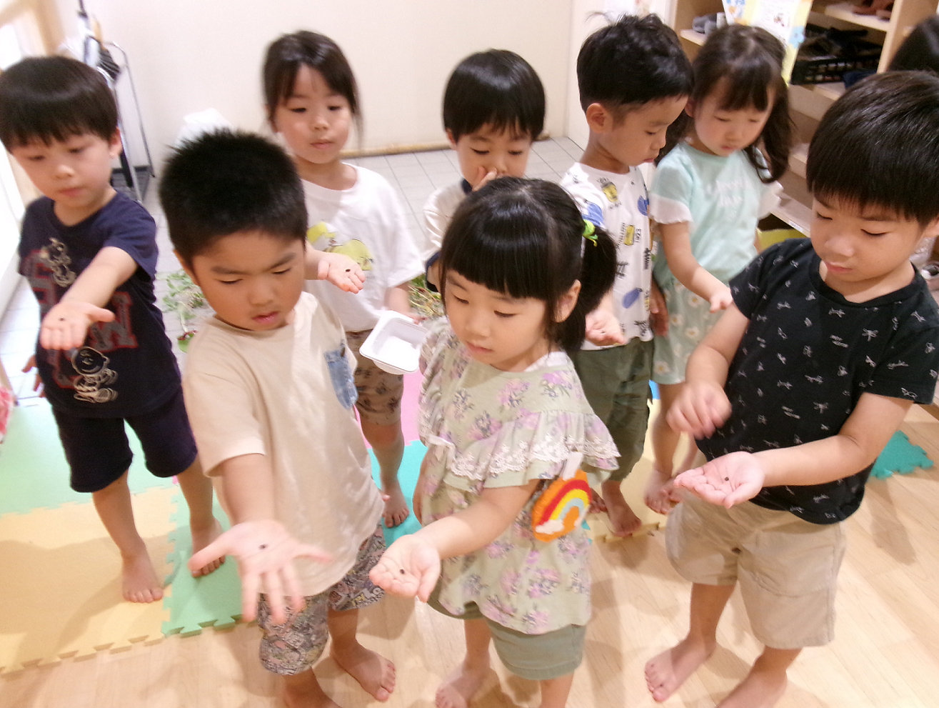また来年植えようねヽ(*＾ω＾*)ﾉ