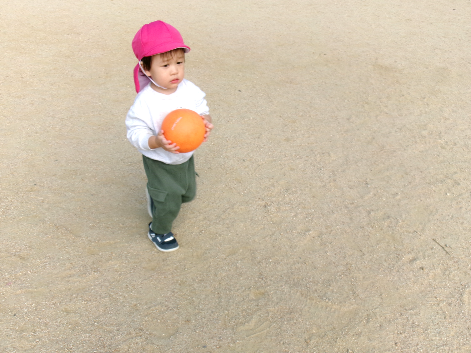 ボール遊びをするよ(^^)/ボールを転がしたり追いかけたりして、楽しむぞ☆彡