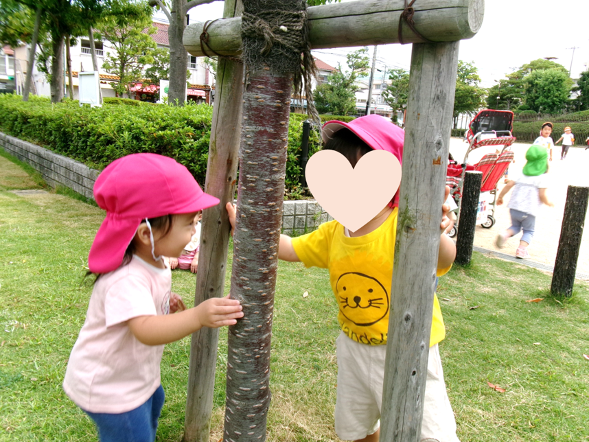 木の間から、『ばぁっ！』仲良しなあひる組さんです♪