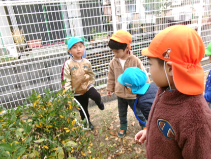 秋見つけ、できるかな?(*^-^*)