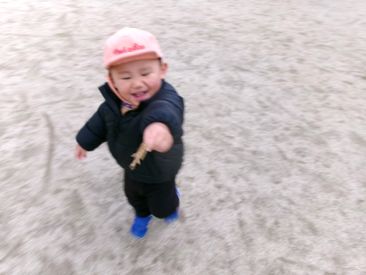  0・1歳児クラスは、別所町公園に行きました(*^o^*)公園内をたくさん歩いていましたよ☆彡