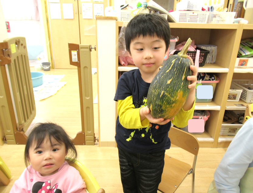 おもしろい形のかぼちゃだね☆彡