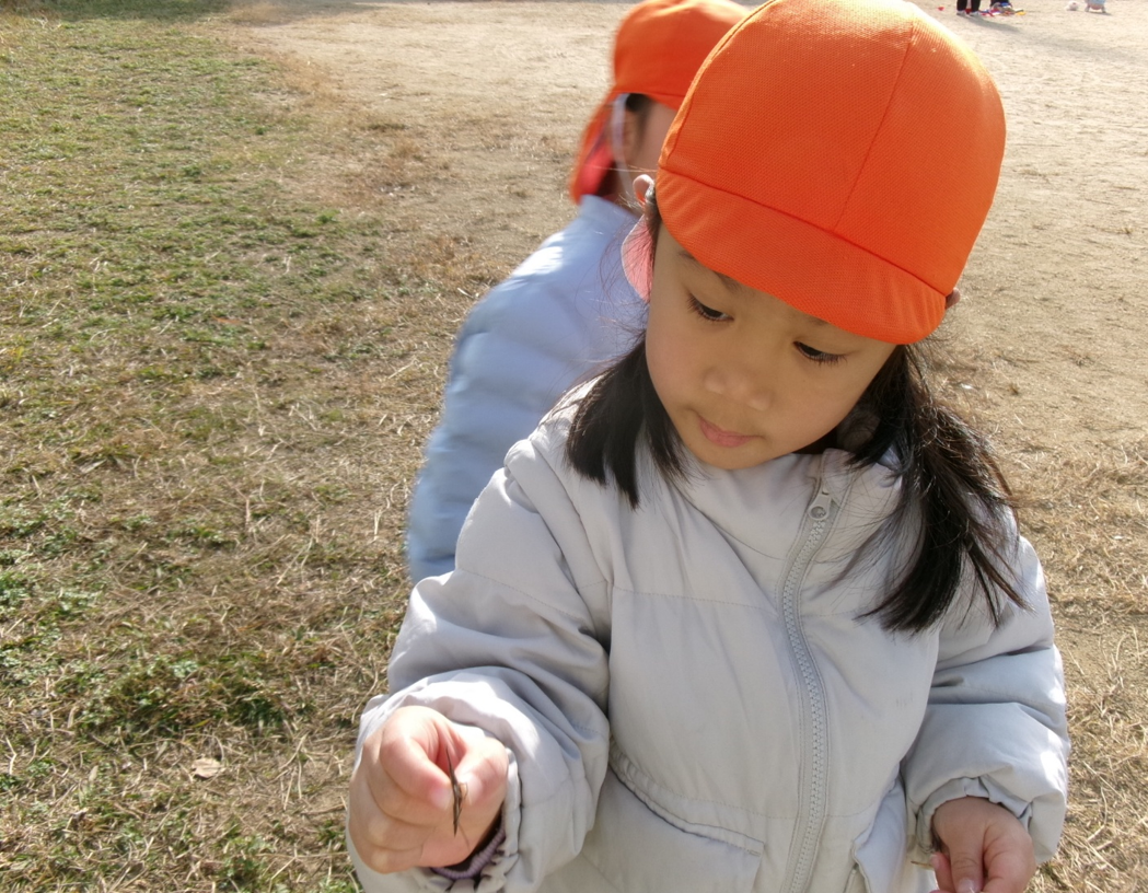 虫さんを発見！！！