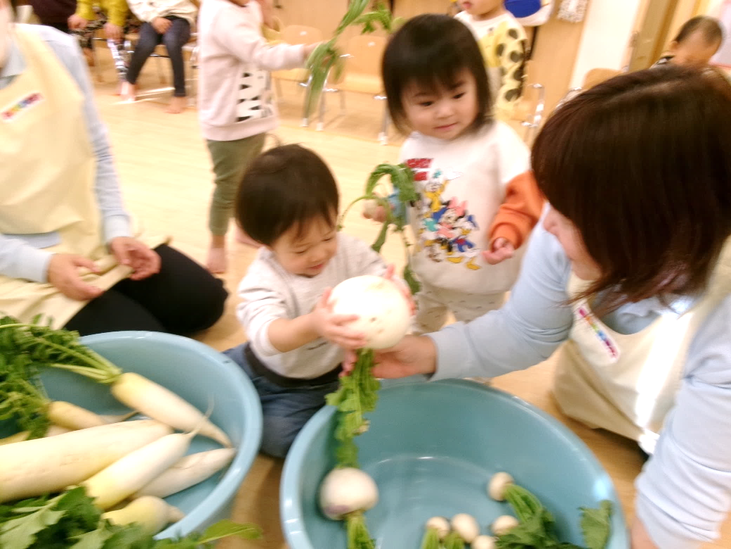 いろんな大きさ・形の大根とカブに興味津々o(｀・ω・´)o