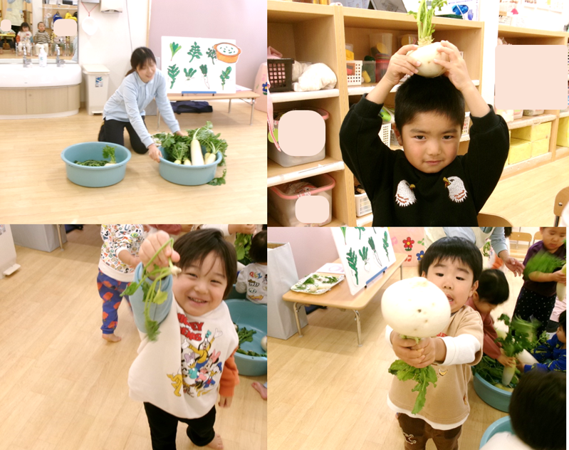 【食育】1月7日は七草の日♪