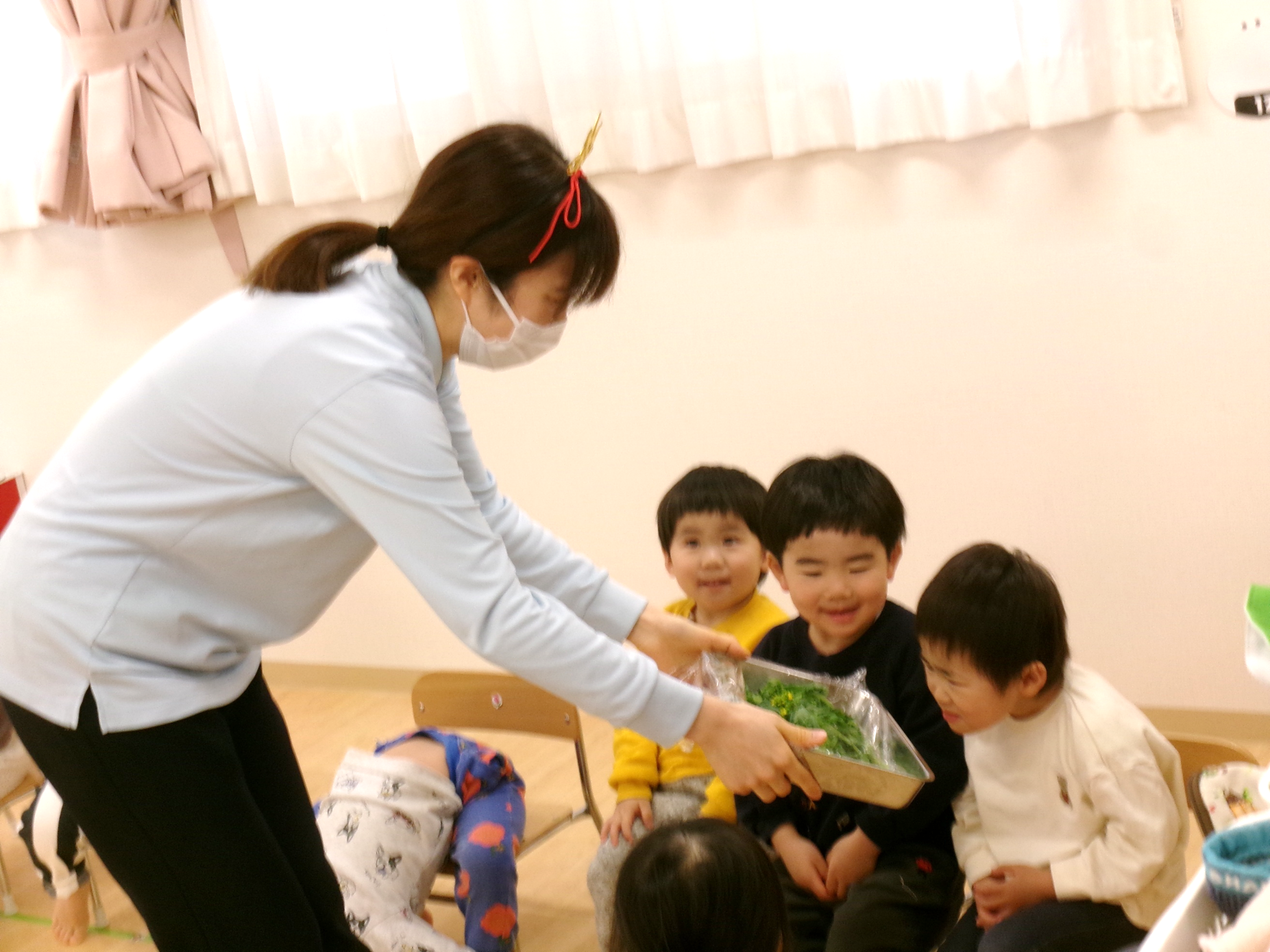 菜の花を観察中・・・(　。・o・。)