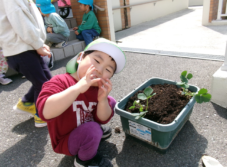 土の感触を楽しみながら、丁寧に苗を植えました☆彡