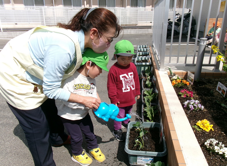 おいしい苺ができますようにo(｀・ω・´)o