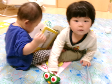 ぴったり仲良しなひよこ組さん( ˶ˆ꒳ˆ˵ )