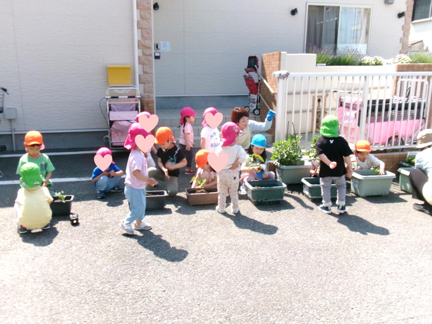ゴーヤ、オクラ、茄子にパプリカ！！夏の収穫を楽しみに、お水やり頑張ろうね☆彡