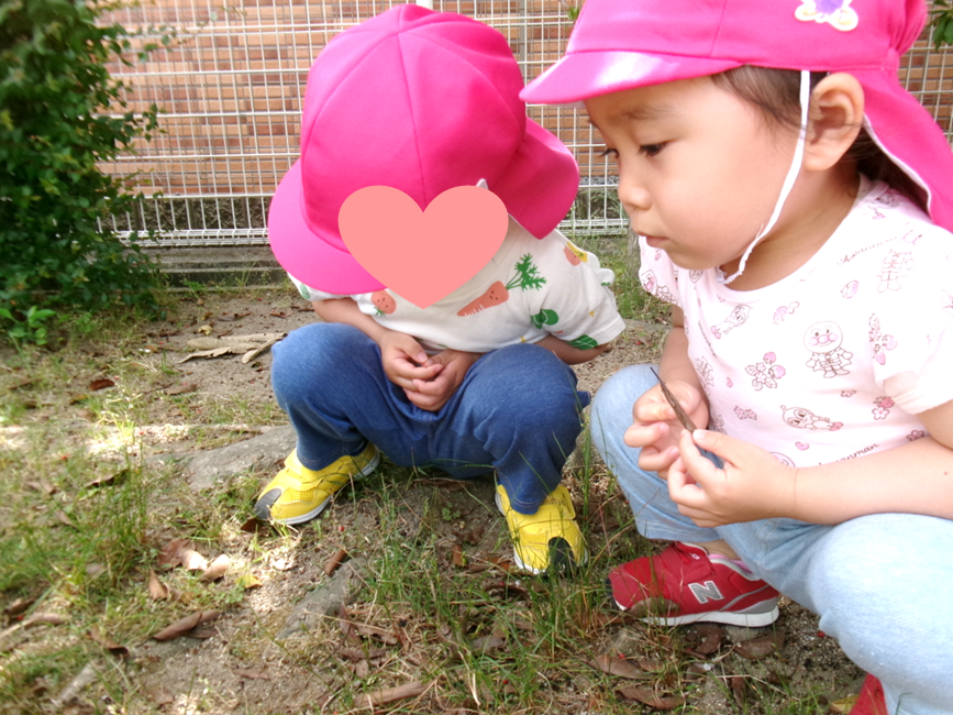何かを見つけるたびに「先生ちょっとこっちきて〜」と呼びにきてくれる、うさぎ組のお友だちです(⁎˃ᴗ˂⁎)