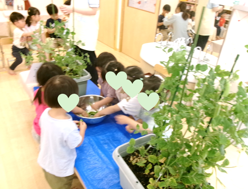 【食育】お豆♪
