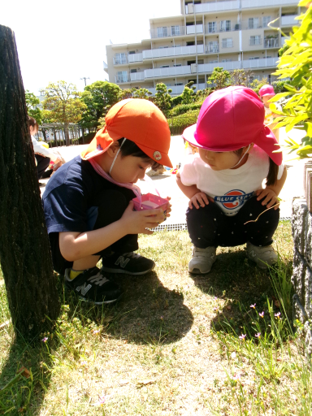 一緒に仲良く虫探し(﹡ˆ﹀ˆ﹡)