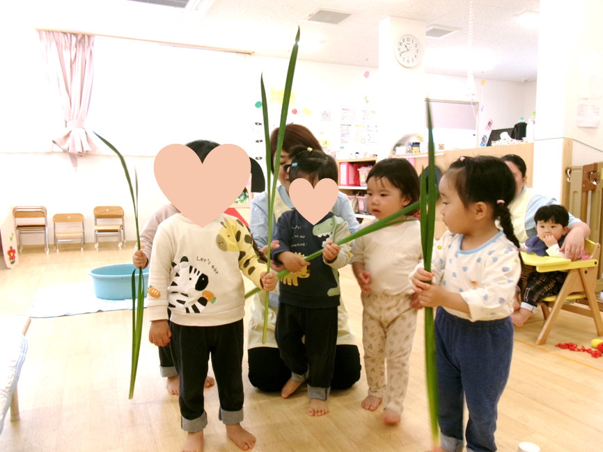 『しょうぶ』と背比べ٩꒰｡•◡•｡꒱۶