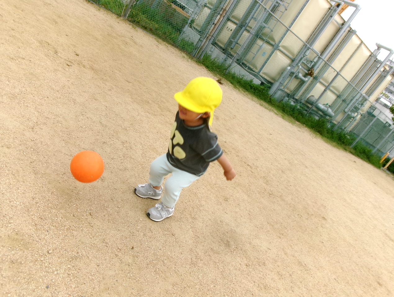 ボールを蹴りながら、楽しそうに「まて〜」と遊んでいました(*^o^*)