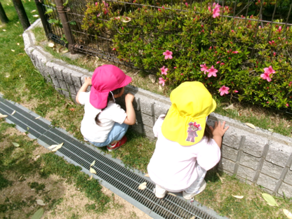 きれいなお花が咲いていたね♪ 「かわいいね~」と見つめていました(^^♪