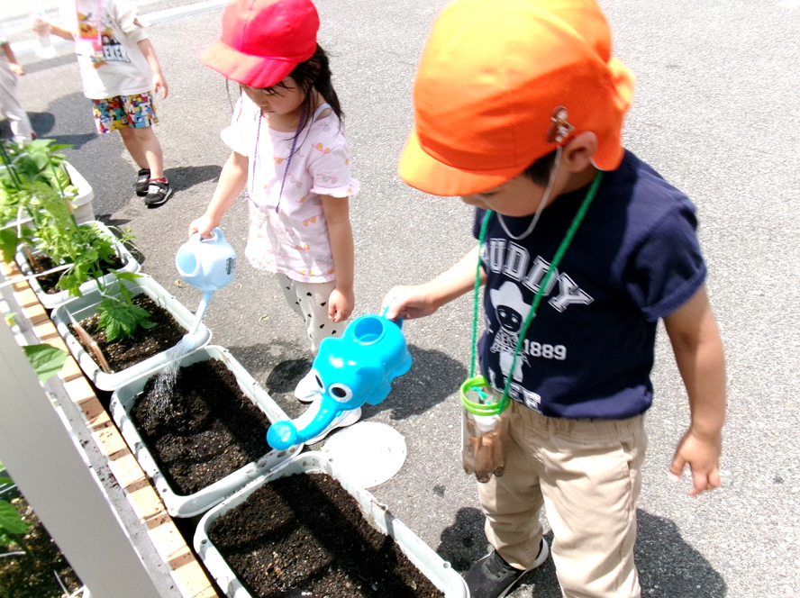 ミニひまわりと、朝顔の種を植えました!!とっても楽しみだね(*^-^*)