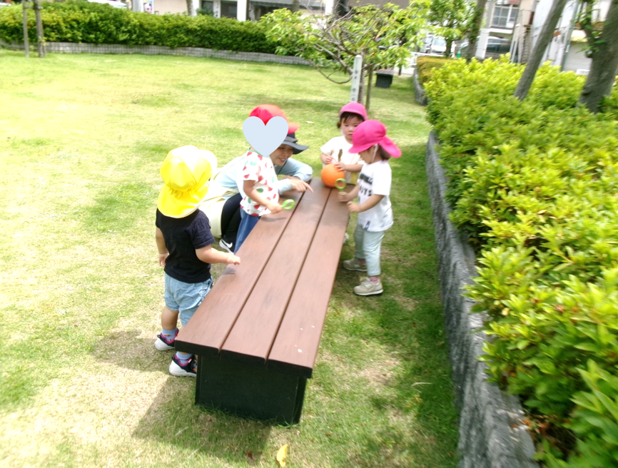 ベンチの上を、虫さんが歩いているよ!!ヽ(*^ω^*)ノ