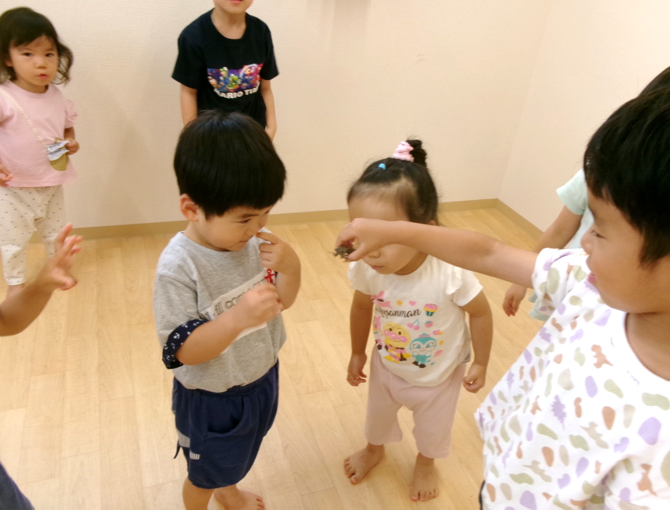 セミを囲んで、みんなで観察タイム!!