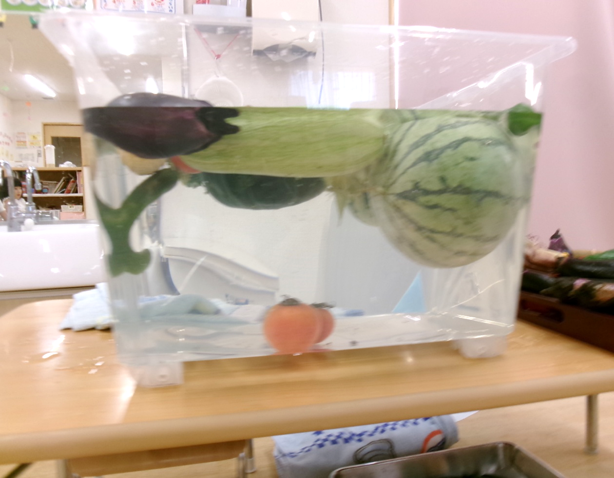 トマトだけが沈んだね！！甘くなっているかな？(^^♪