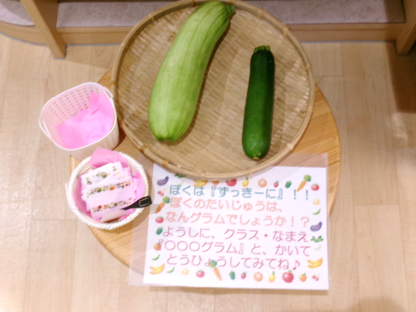 大きなズッキーニ、何グラムかな?予想してみよう(・◡︎‹ )**