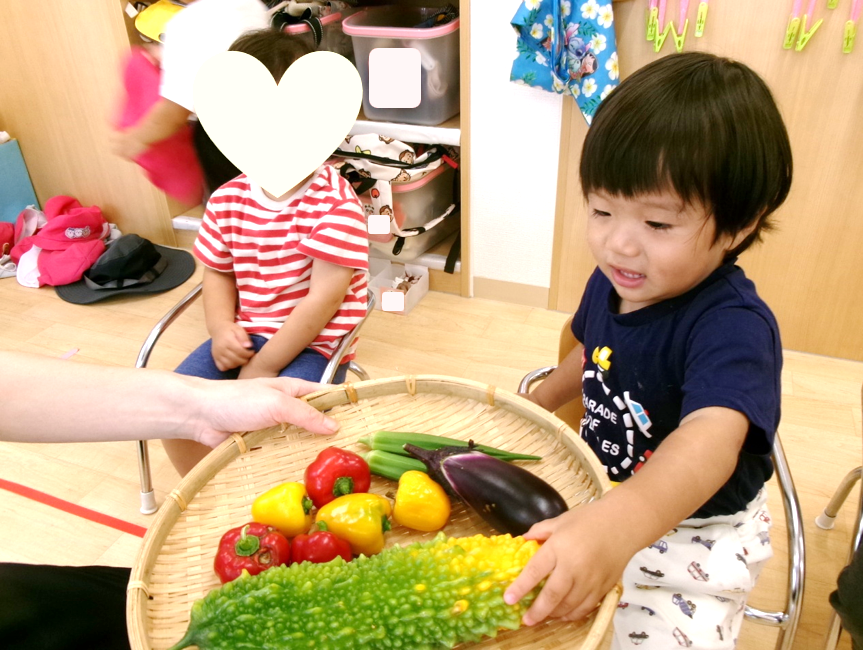 ひよこ・あひる組さんも触れてみよう♪色とりどりの野菜、ツヤツヤだね！！