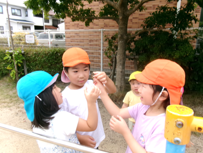 セミも見つけたよ!!観察中・・・(@_@)