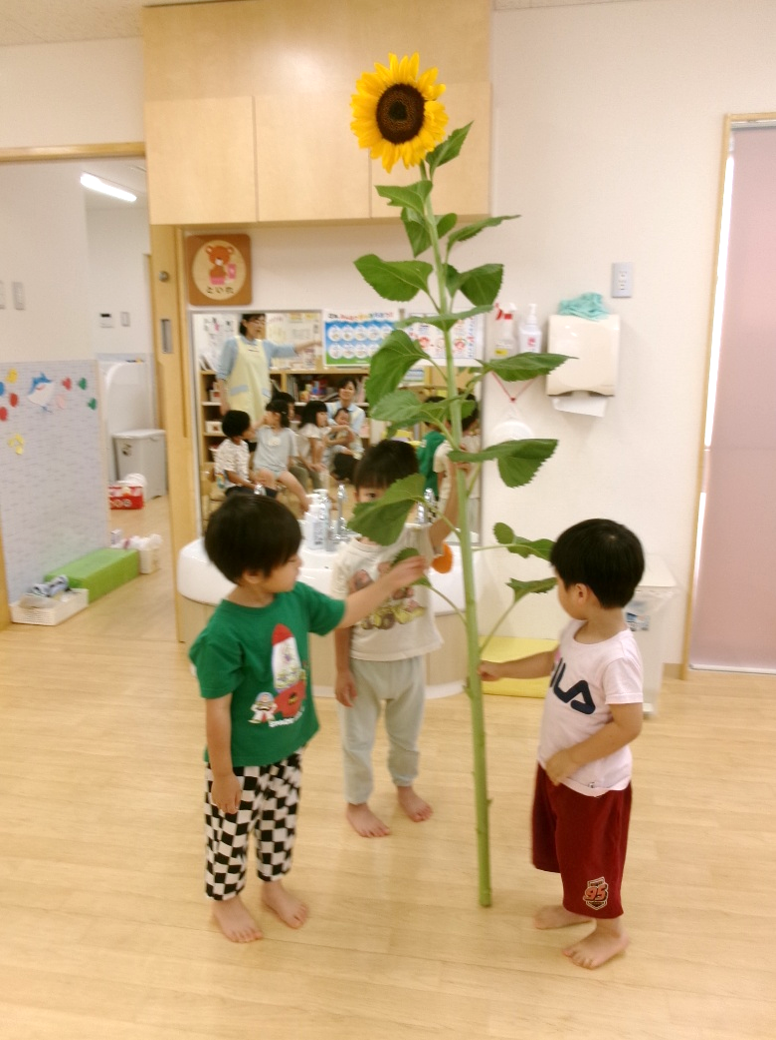 お父さんよりも背が高いかも?!