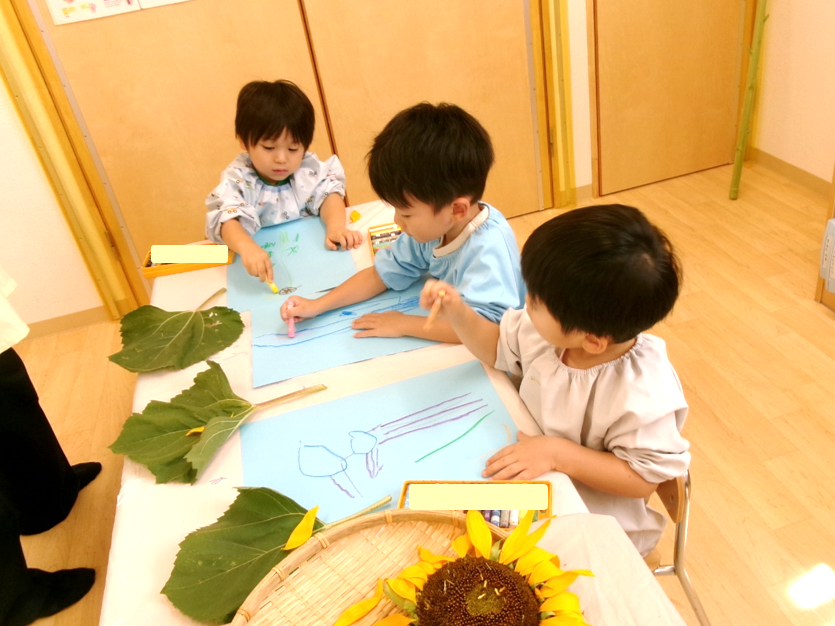 花びらも葉っぱも大きいね(*≧∀≦*)
