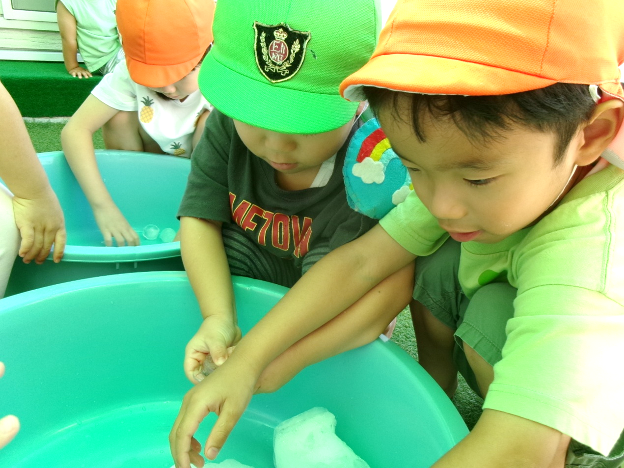 ひんやりキラキラ、氷に夢中ですヽ(*^ω^*)ノ