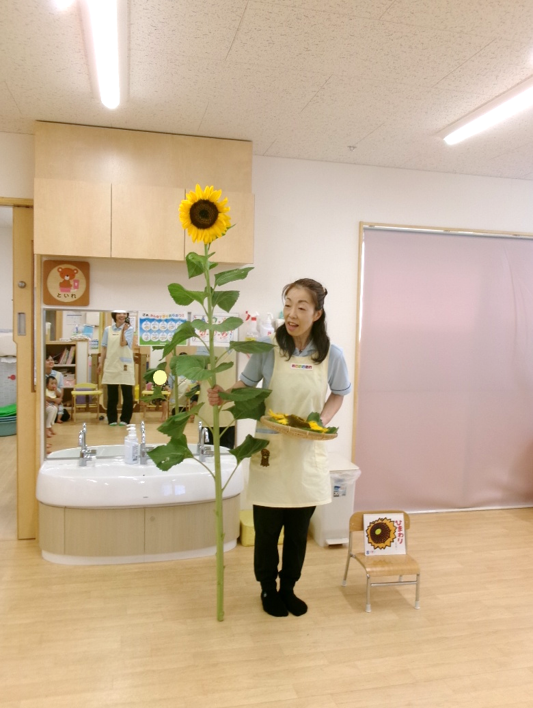 大きくて立派なひまわりにビックリ!!